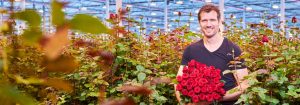 Få rosene til å skille seg ut med LED-vekstlys