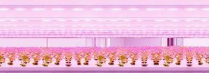 Philips GreenPower LED-produksjonsmodul