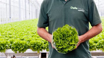 Roy og Mark Delissen, eierne av Deliscious, et salatvekstselskap som bruker Philips-hagebruksbelysning