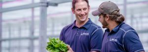 Salatprodusent bytter til 100 % Philips LED-overbelysning 