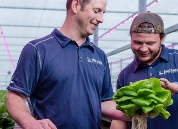 Ta ledelsen med LED-belysningsteknologi for vekstlys