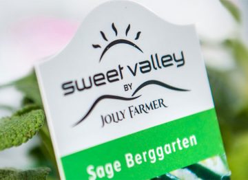 Bedre vekst, reduserte energikostnader med LED-vekstlys