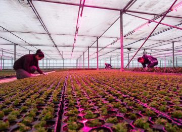 En vinn/vinn-situasjon