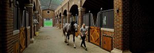 Bourne Hill Stables skaper et tryggere miljø med UV-C-belysning